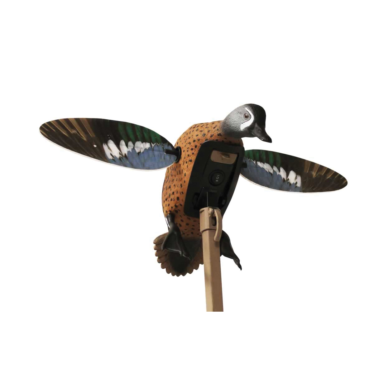 Mojo Outdoors Elite Teal Remote Ready Blue Wing Decoy - Mojo Outdoors