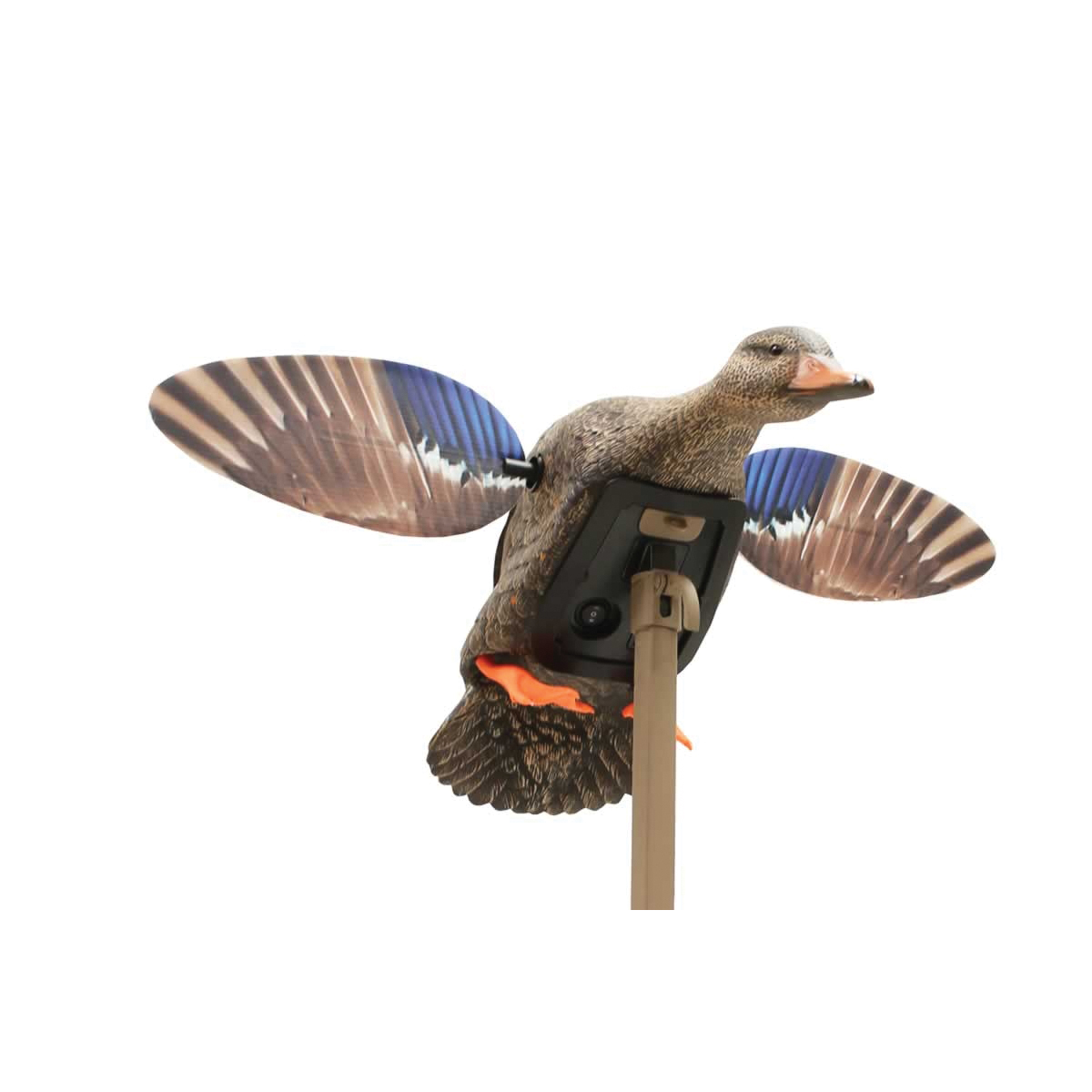 Mojo Outdoors Elite Mini Mallard Hen Decoy - Mojo Outdoors