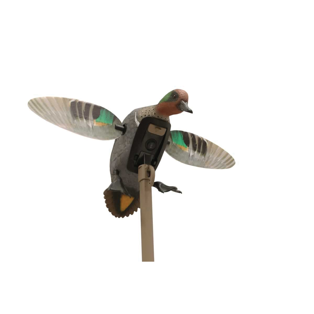 Mojo Outdoors Elite Teal Remote Ready Green Wing Decoy - Mojo Outdoors