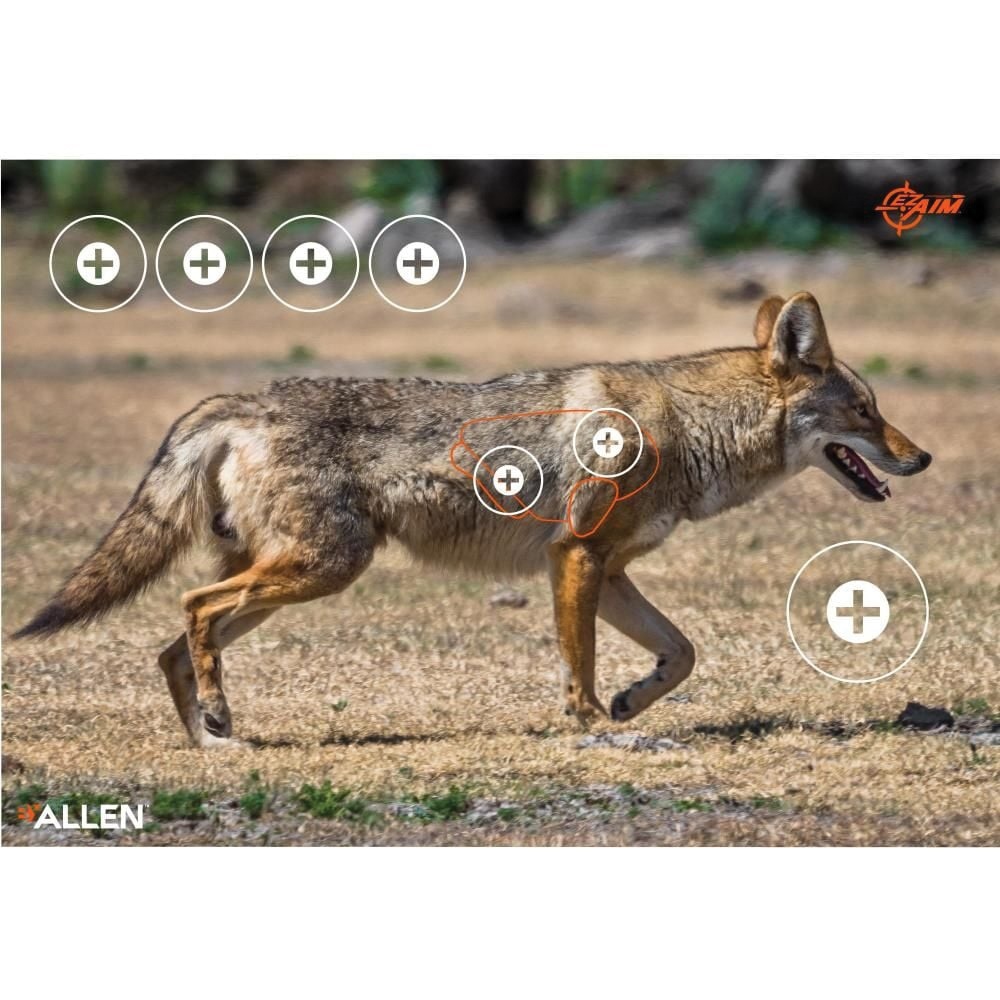 EZ Aim Coyote Target, White, 2 Pack - Realistic White Coyote Shooting Targets for Practice - 15284