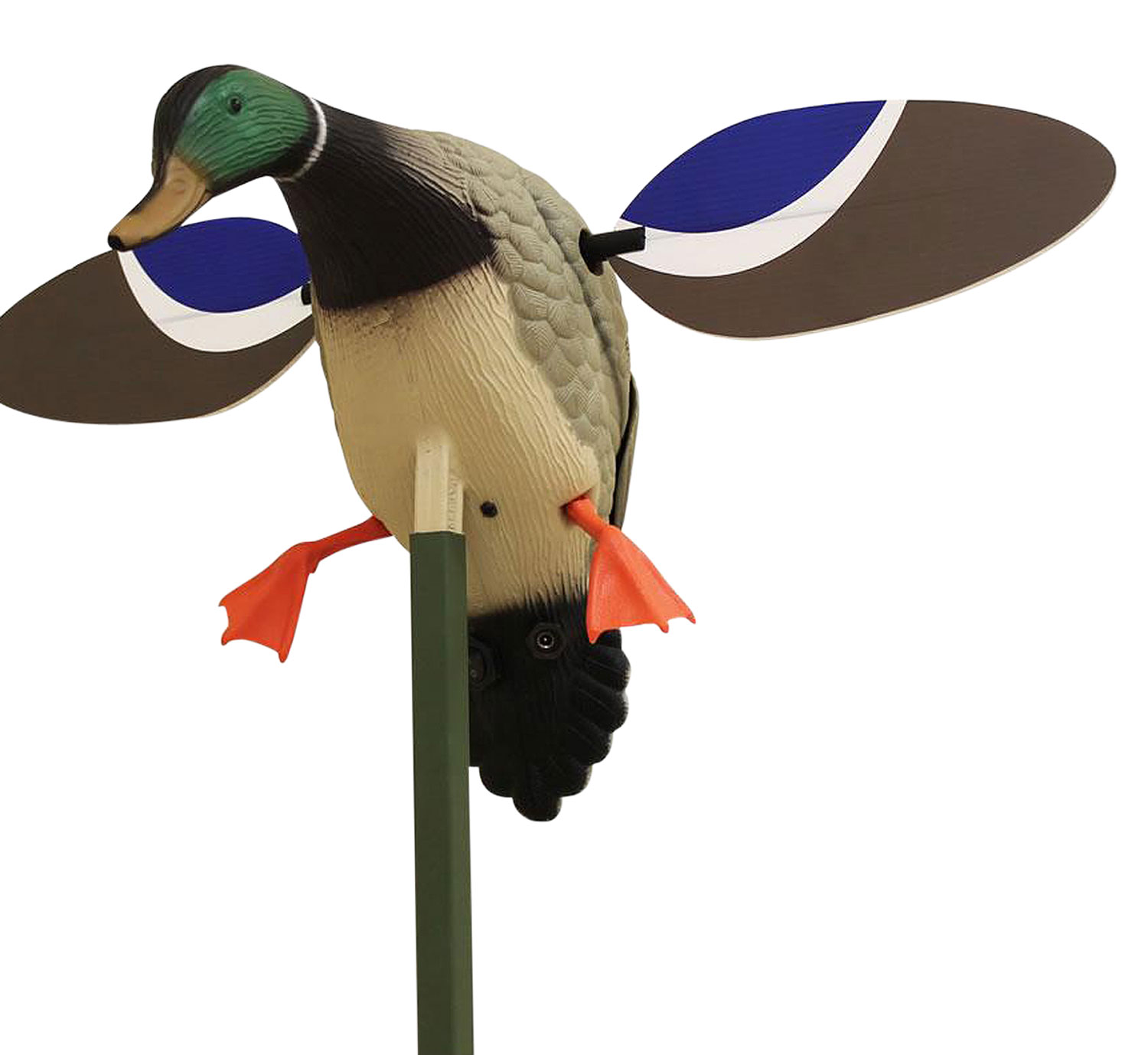 Mojo Outdoors Baby Mojo Spinning Wing Drake Decoy, Mallard - HW4401 - Mojo Outdoors
