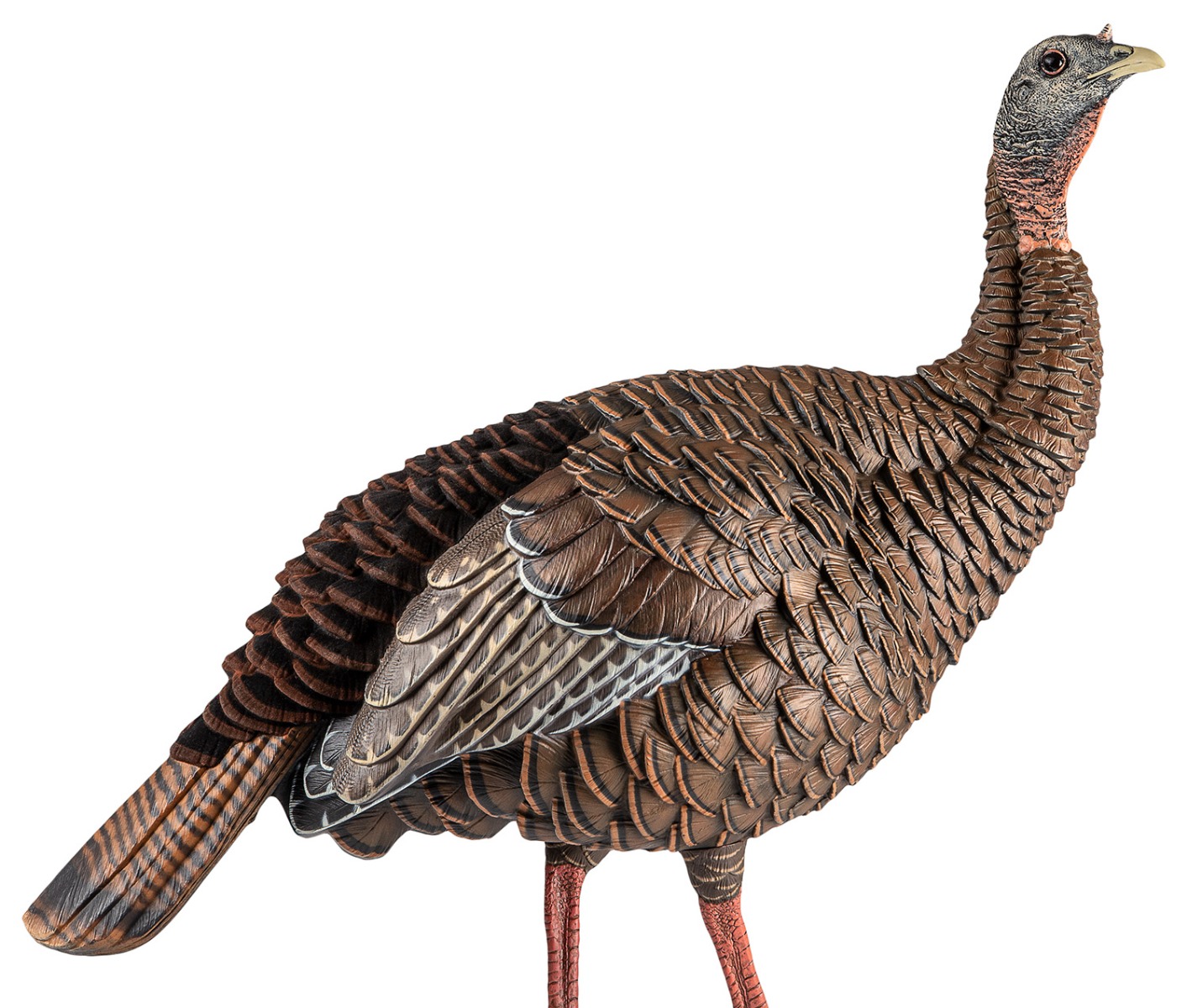 Avian-X HDR Hen - AVX8106 - Avian-X