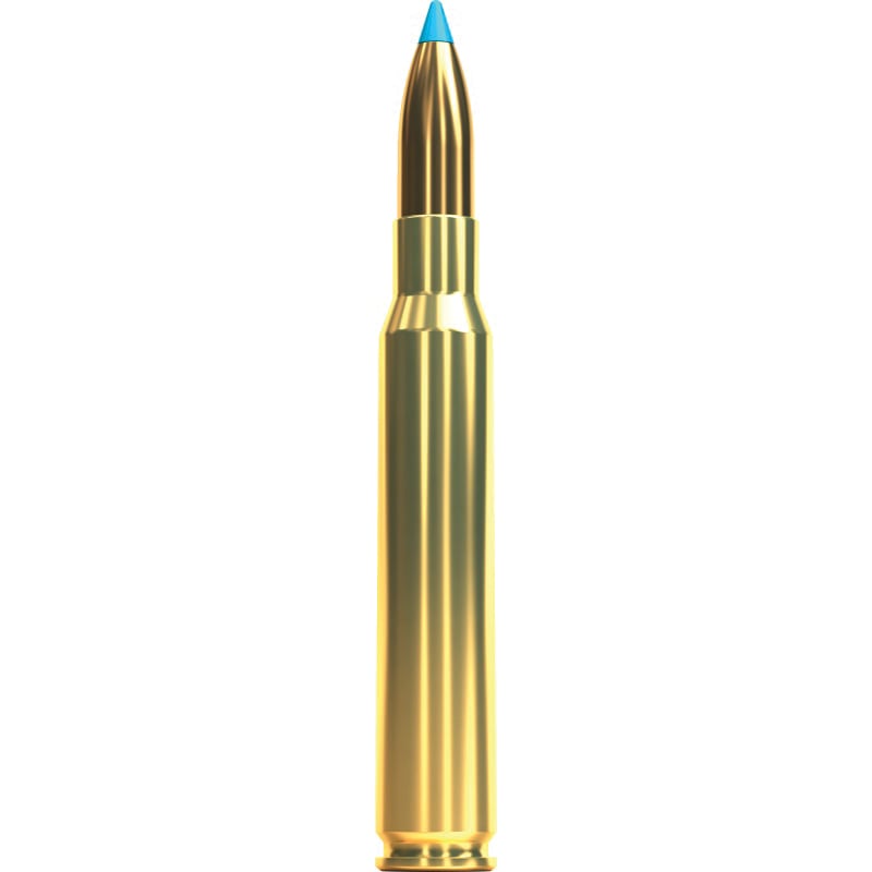 Sellier & Bellot eXergy .30-06 Springfield 180 gr Ammo TAC-EX-Blue - 20rds - SB3006XB - Sellier & Bellot Ammunition