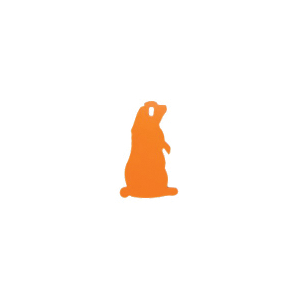 Champion Targets Prairie Dog Target - Orange, Realistic Target for Marksmanship - 44916C