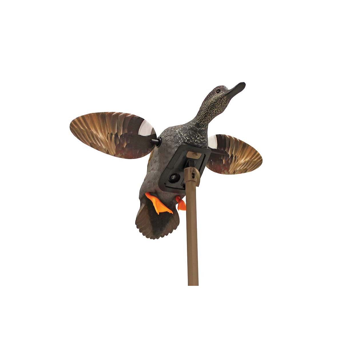 Mojo Outdoors Elite Gadwall Decoy - Mojo Outdoors