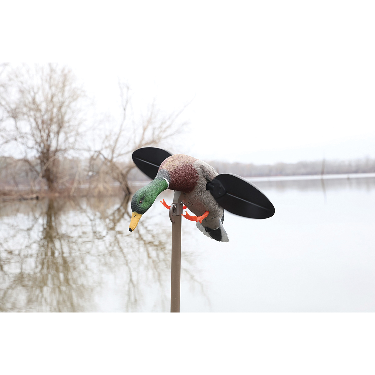 Mojo Outdoors Lite Spinning Wing Mallard Drake Decoy - Mojo Outdoors
