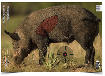 Birchwood Casey  Pregame Target 16.5x24 Boar 3EA - 35408 - Birchwood Casey