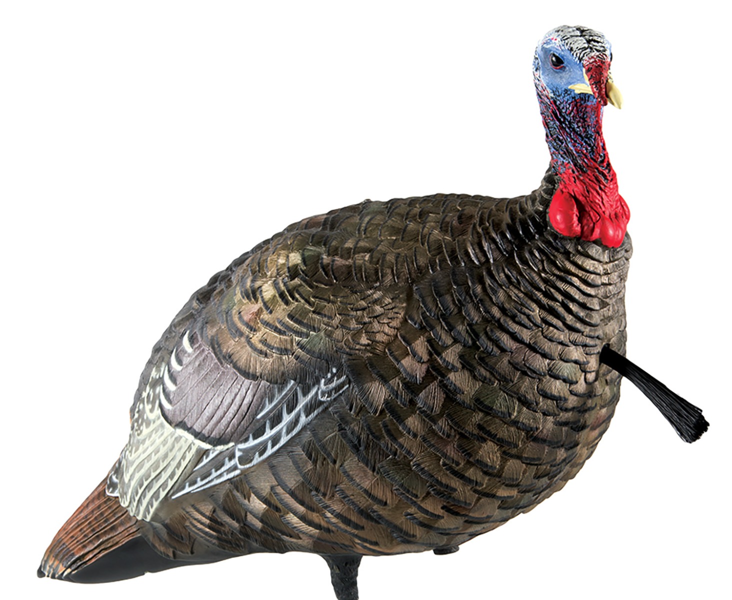 Avian-X LCD Quarter Stut Jake - 8003 - Avian-X