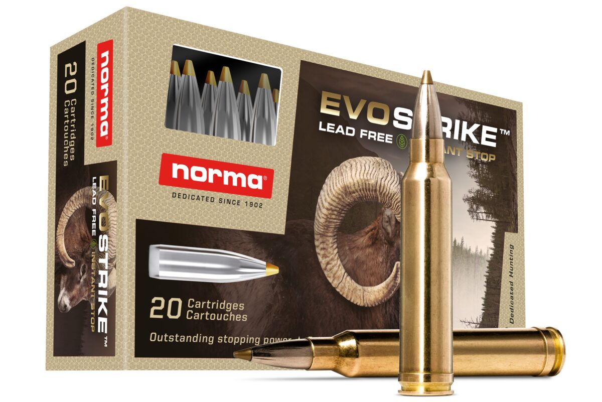 NORMA EVOStrike 96gr .270 WIN Ammo, 20rds - 20168972 - Norma