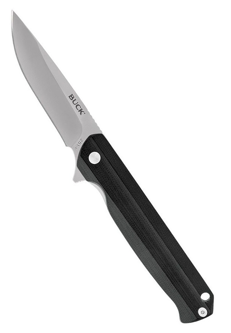 Buck 251 Langford Folding Drop Point Knife, Black - 0251BKS-C