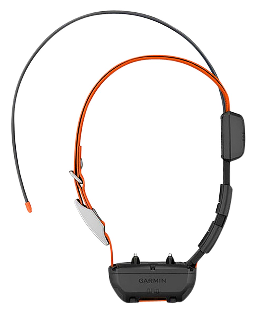 Garmin Alpha TT25 Tracking and Training Collar, Orange - Garmin