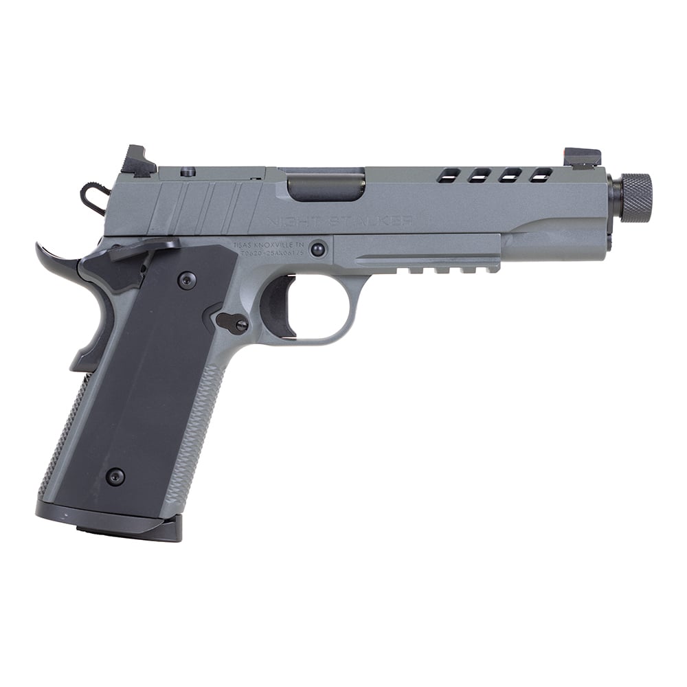 Tisas USA 1911 Night Stalker SF .45 ACP Pistol 5" 8rds, Platinum Gray - High-Performance and Stylish - 10100556 - Tisas