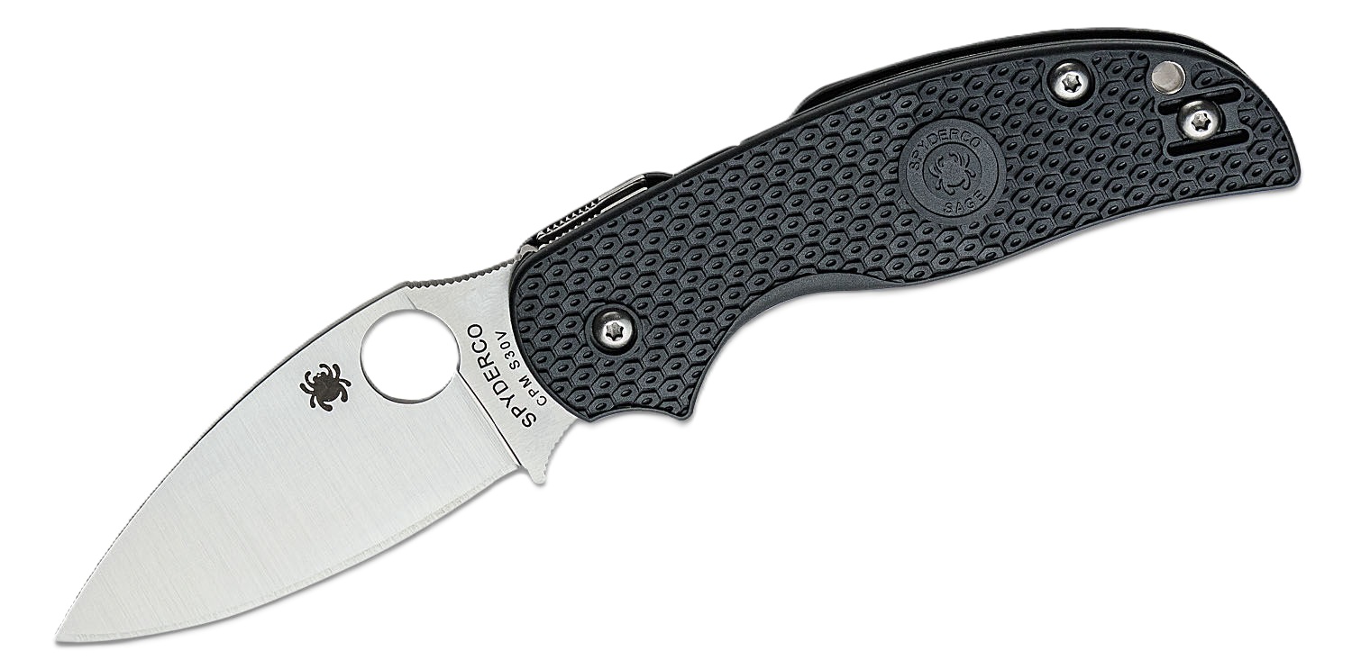 Spyderco Sage 5 Lightweight Folding Spear Point Knife, Black - C123PBK - Spyderco