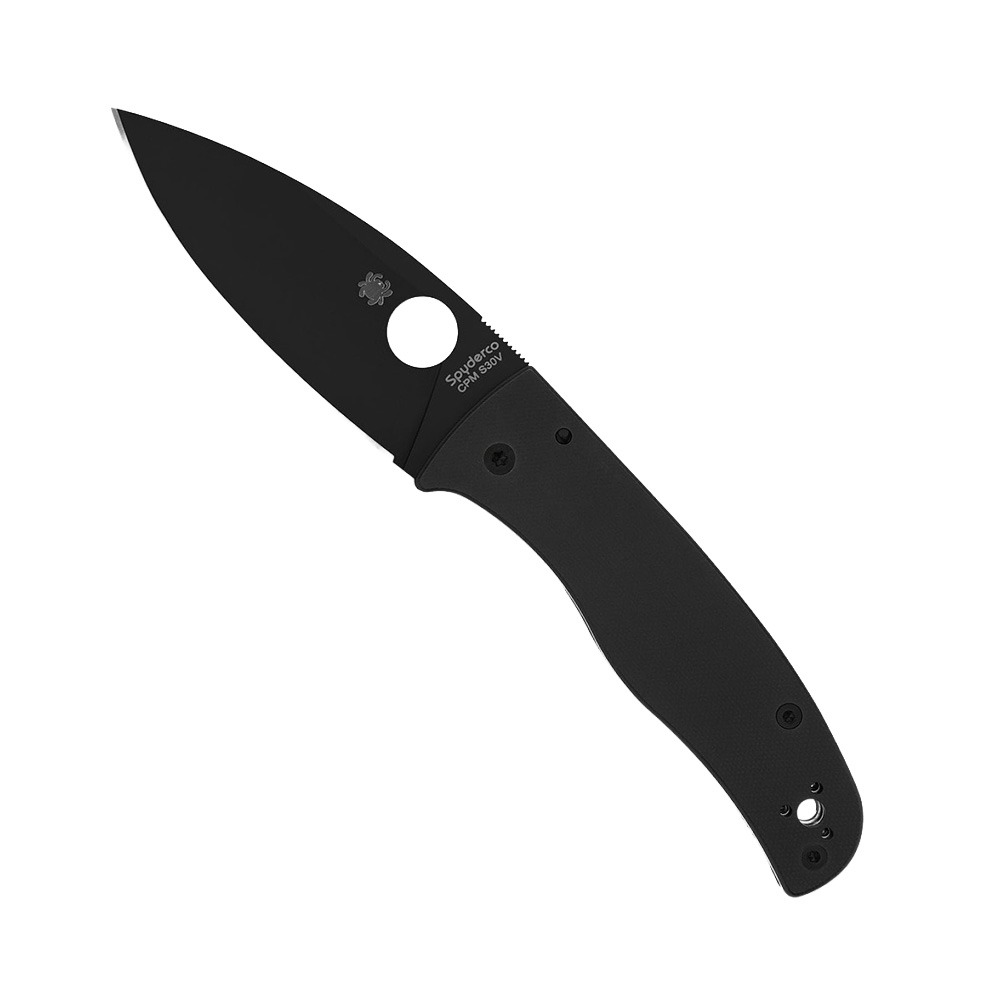 Spyderco Bodacious Folding Spear Point Knife, Black - C263GPBK