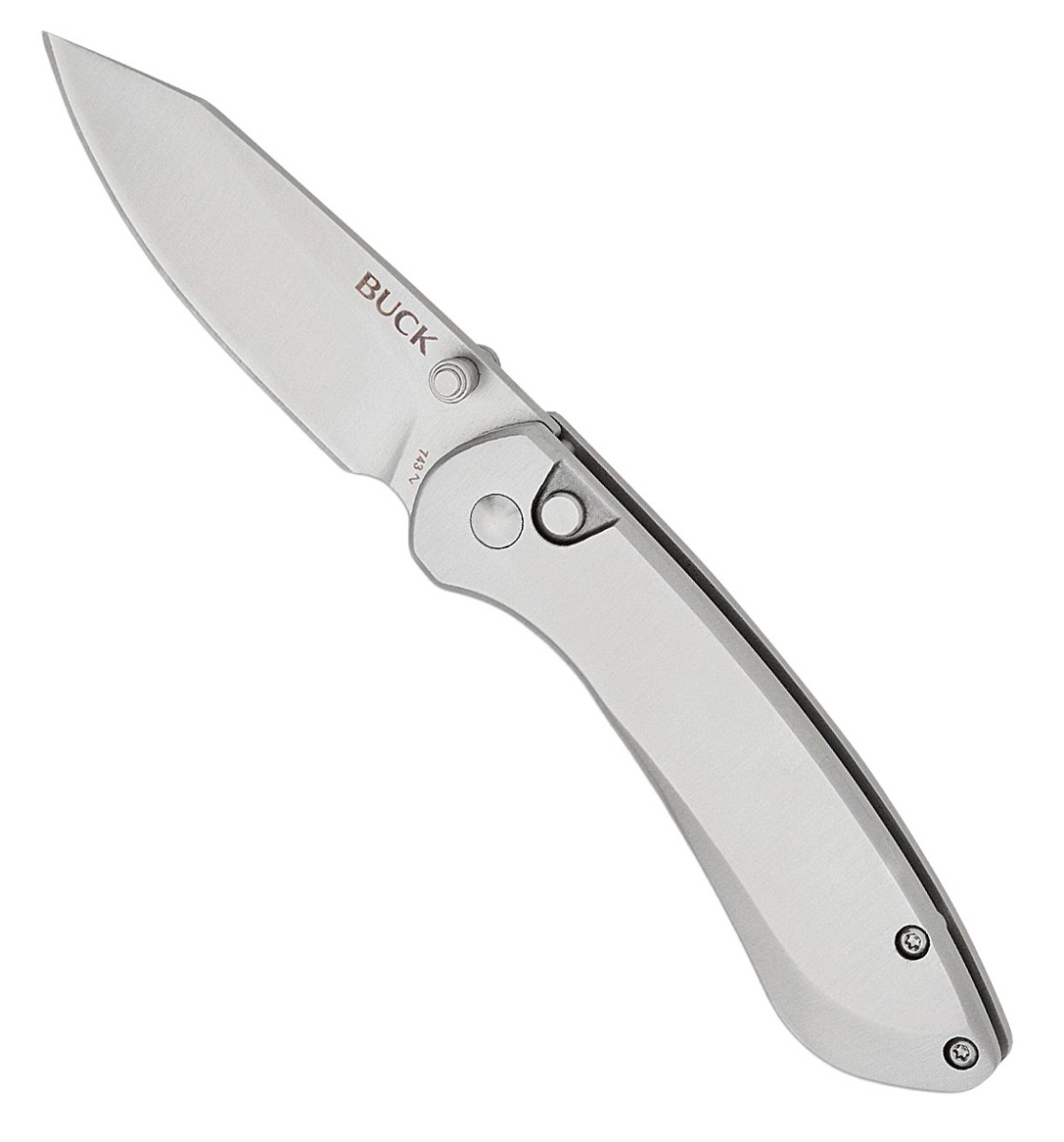 Buck Mini Sovereign Folding Clip Point Knife, Stainless - 0743SSS-C