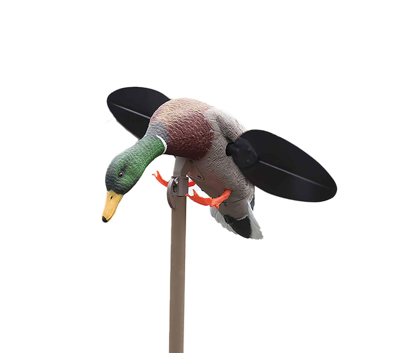 Mojo Outdoors Lite Spinning Wing Mallard Drake Decoy - Mojo Outdoors