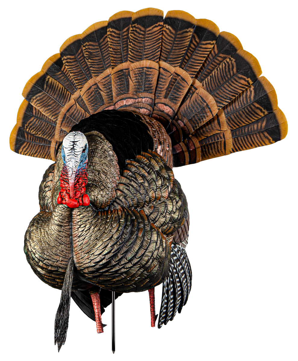 Avian-X HDR Strutter Turkey Decoy - Avian-X