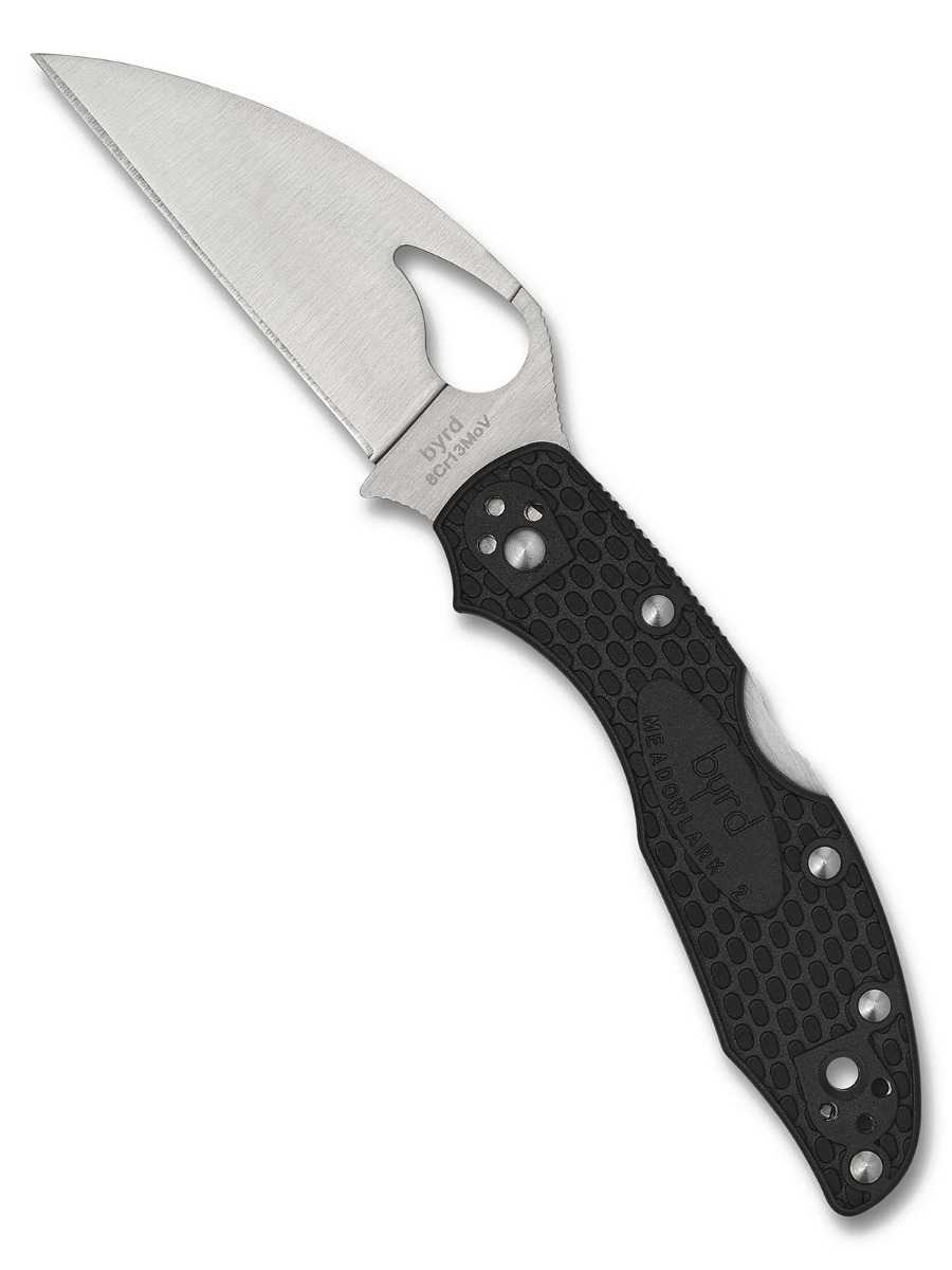 SPYDERCO BYRD Meadowlark 2 Lightweight  Wharncliffe PlainEdge Folding Knife, Black - BY04PBKWC2