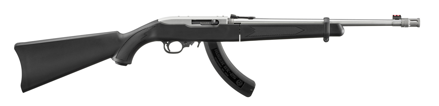 Ruger Ruger 10/22 Takedown .22 LR 18" 25rd Semi Auto Rifle, Stainless - 32028