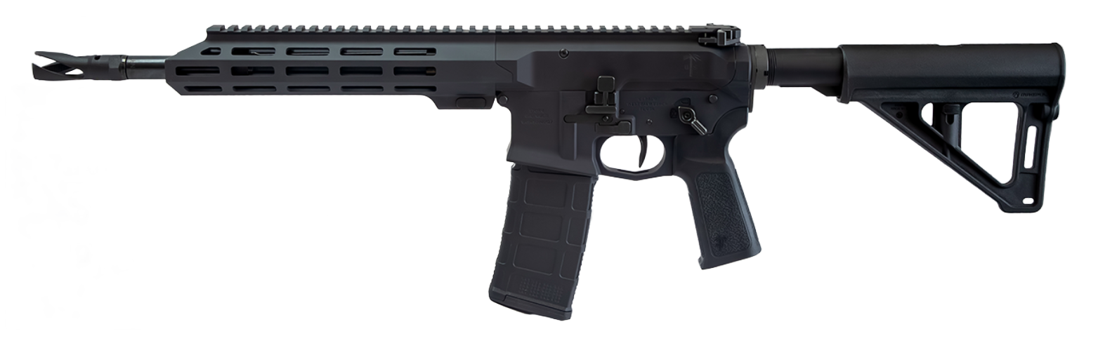 US PALM STORM CAT4 11.5" 5.56 NATO AR Pistol, Black
