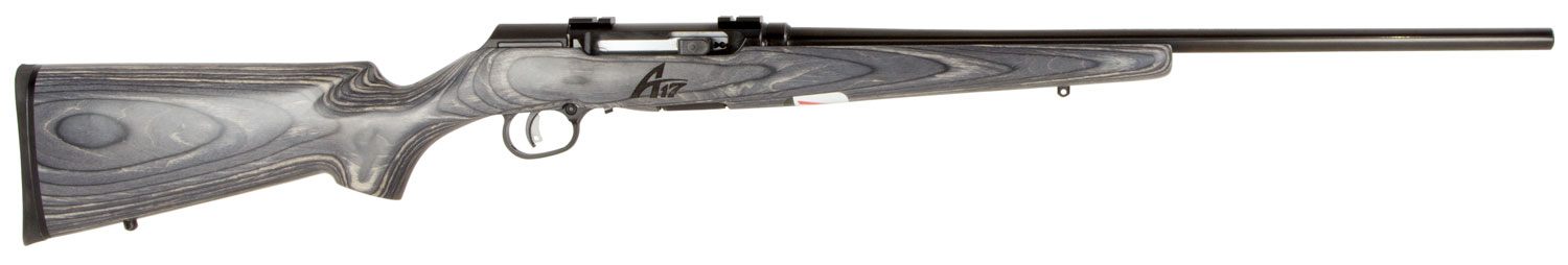 Savage Arms A17 Sporter 17 HMR 10+1 Semi Auto Delayed Blowback Rifle, Fixed - 47008 - Savage Arms