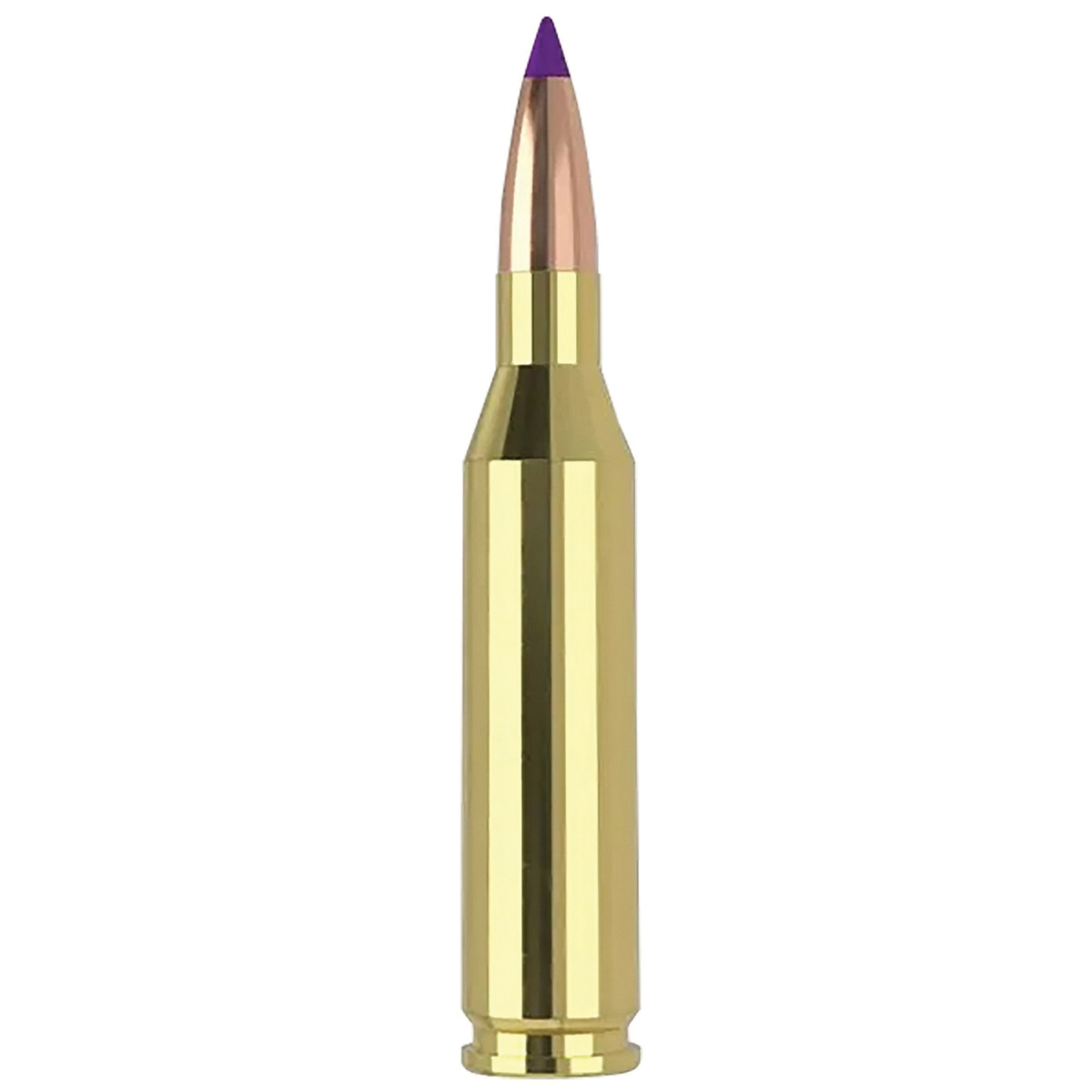 Nosler .243 Winchester 70 gr BTVS 20rds Rifle Ammo for Precision Hunting - 40041 - Nosler