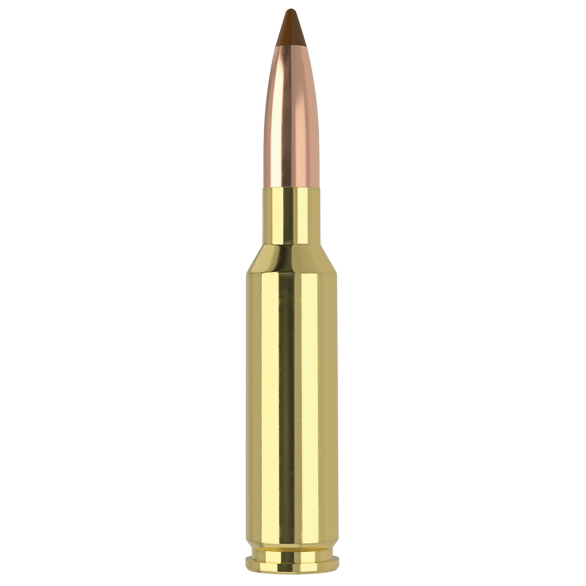 Nosler 6.5x55mm Swedish 140 gr BTHS 20rds Rifle Ammo for Reliable Shooting - 61053