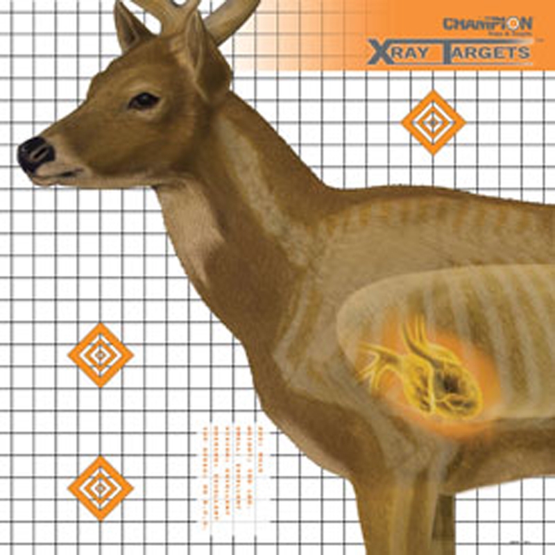 Champion DEER TARGET 25X25(6/PK) 45902 - Champion
