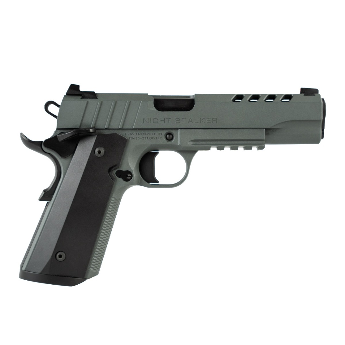 Tisas Night Stalker 5" 8rd 10mm Pistol, Platinum Gray - 10100540 - Tisas