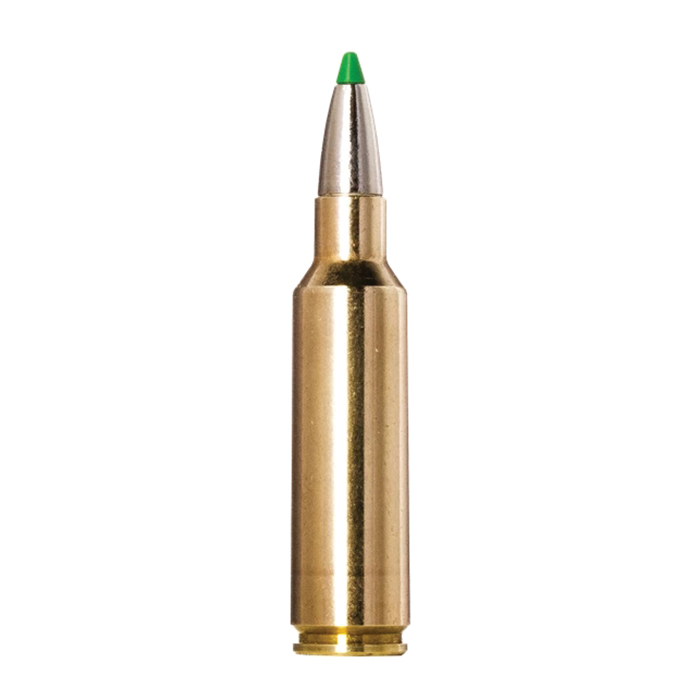 Norma Ecostrike .300 WSM 165 gr PTBT 20rds Rifle Ammo for Reliable Long-Range Shooting - 20177512 - Norma