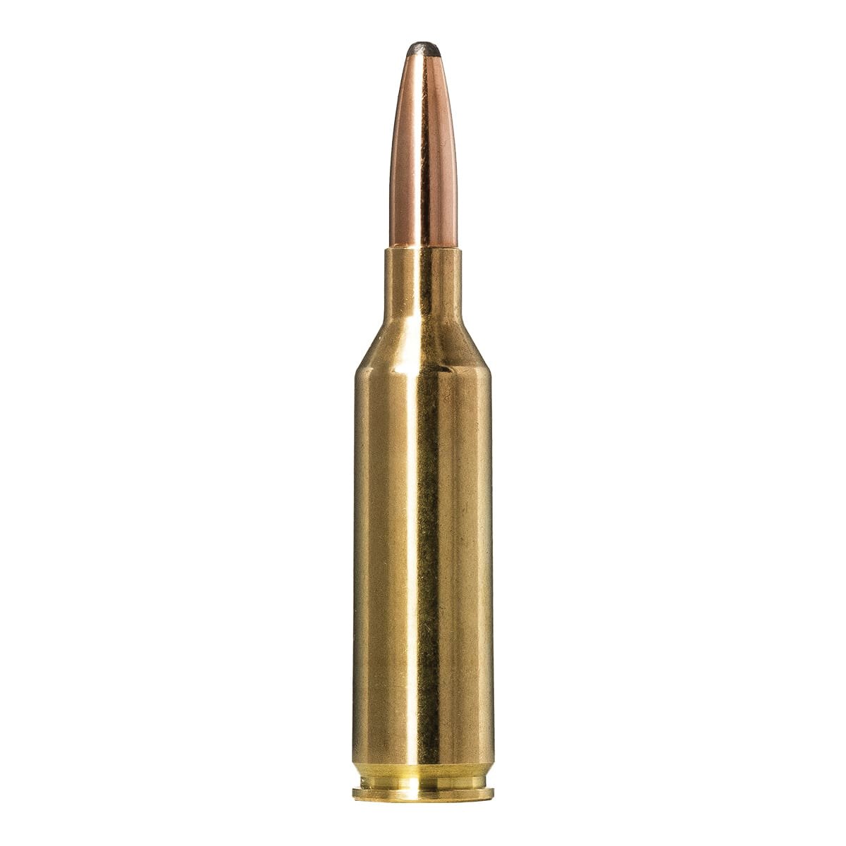 Norma Whitetail 6.5 PRC 140 gr BTHP 20rds Rifle Ammo for High-Performance Hunting - 20166592 - Norma