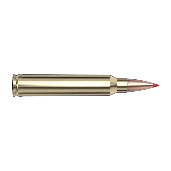 Hornady Superformance .300 Win Mag 165 gr CPT 20rds - Hornady