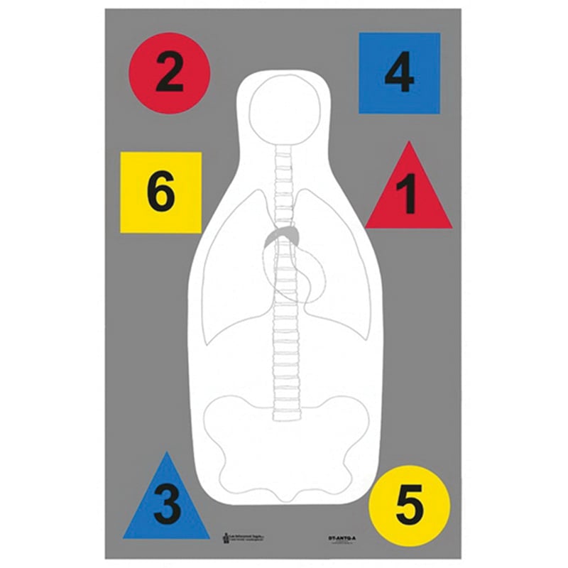 Action Target Law Enforcement 23" x 35" Silhouette Multi-Purpose Anatomy and Command Training Target, 100/box - DT-ANTQA-100 - Action Target