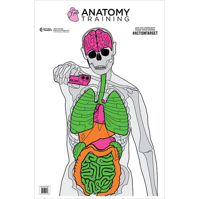 Action Target 23" x 35" Silhouette/Vital Anatomy Training Target, 100/box - GS-ANATOMY-100 - Action Target