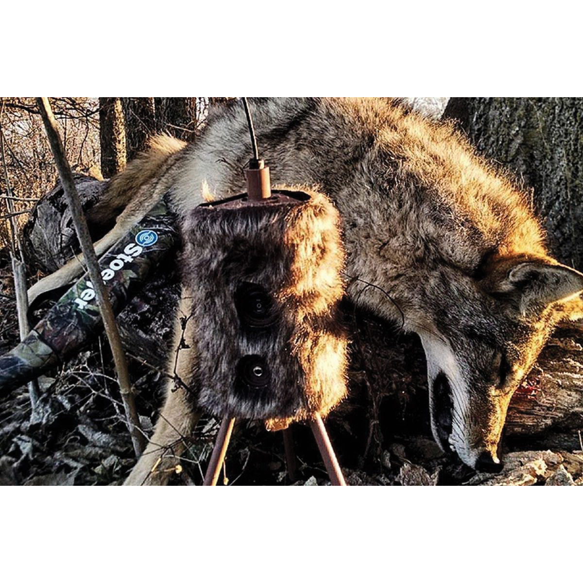 Mojo Outdoors Super Critter Decoy, Predators - HW2304 - Mojo Outdoors