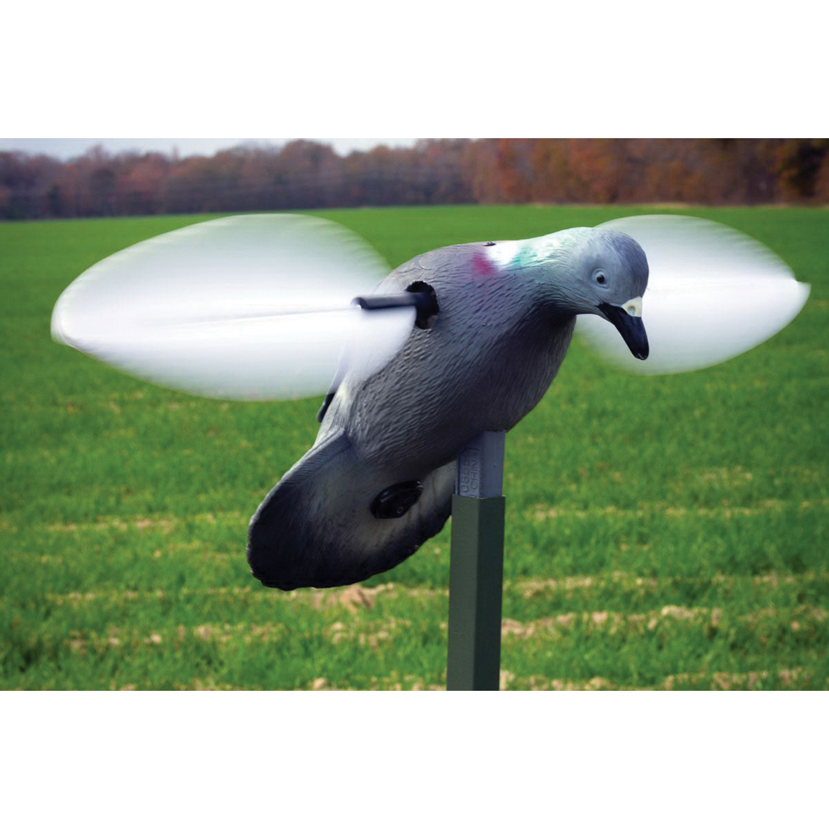 Mojo Outdoors Decoy, Pigeon - HW2410 - Mojo Outdoors