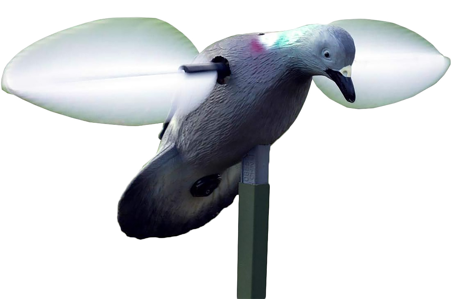 Mojo Outdoors Decoy, Pigeon - HW2410
