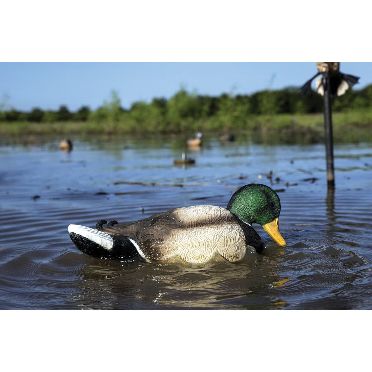 Mojo Outdoors Rippler Decoy, Duck - HW2443 - Mojo Outdoors