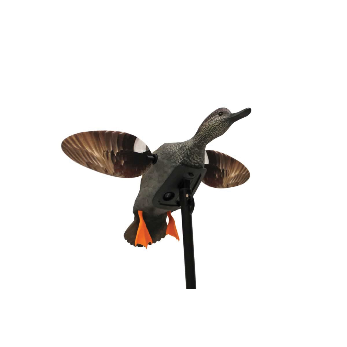 Mojo Outdoors Elite Series Gadwall Motion Decoy, Duck - HW2473 - Mojo Outdoors