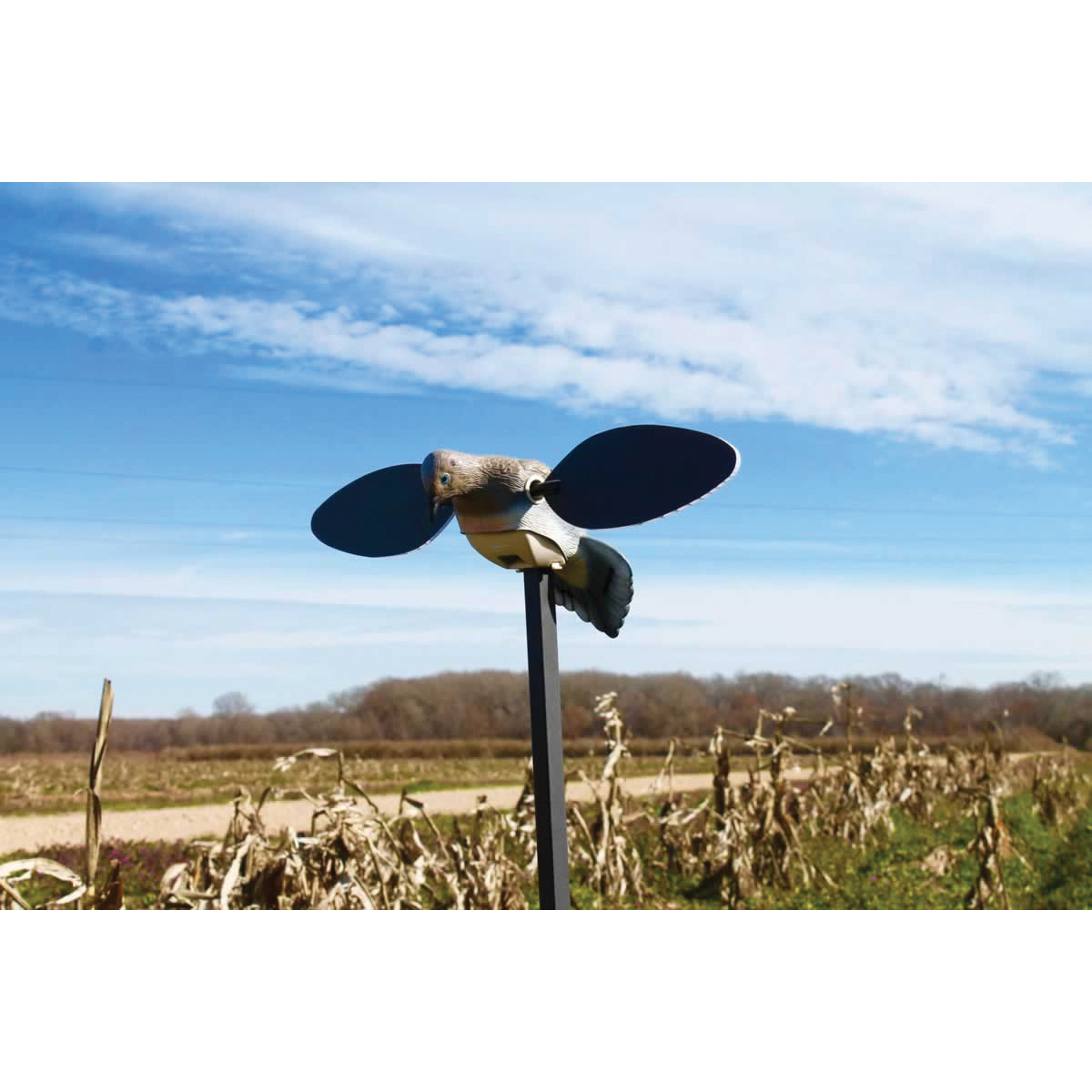 Mojo Outdoors Elite Series Decoy, Dove - HW2488 - Mojo Outdoors