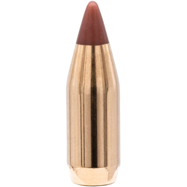 Hornady NTX .17 15.5 gr Ballistic Tip Varmint Rifle Bullet, 100/box - 17016 - Hornady