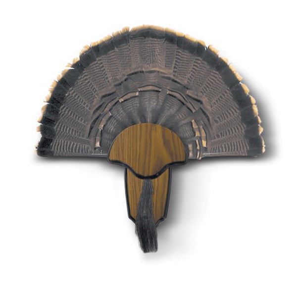 Hunter's Specialties Wild Turkey Tail and Beard Mounting Kit, Brown - HS-STR-00849