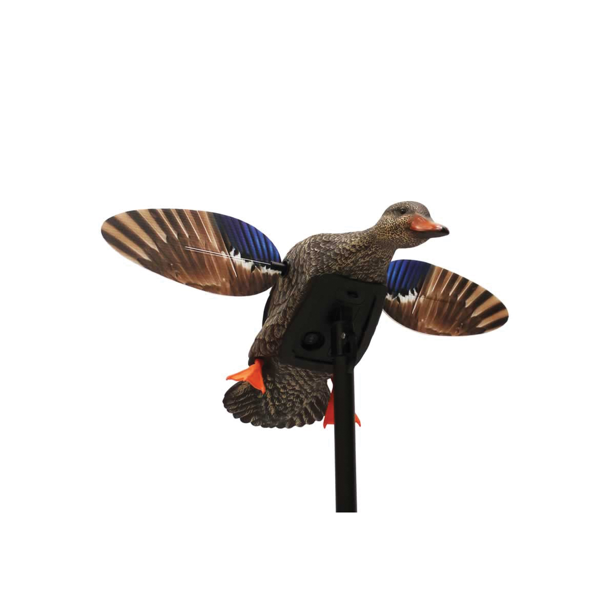 Mojo Outdoors Elite Series Mini Hen Decoy, Mallard - HW2471 - Mojo Outdoors