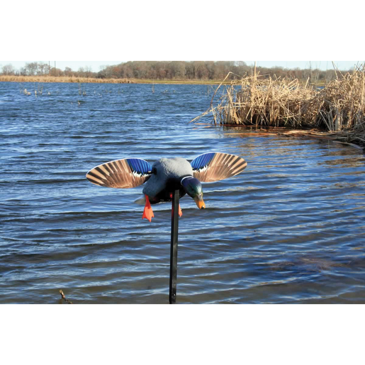 Mojo Outdoors Elite Series Mini Drake Decoy w/ Remote, Mallard - HW2487