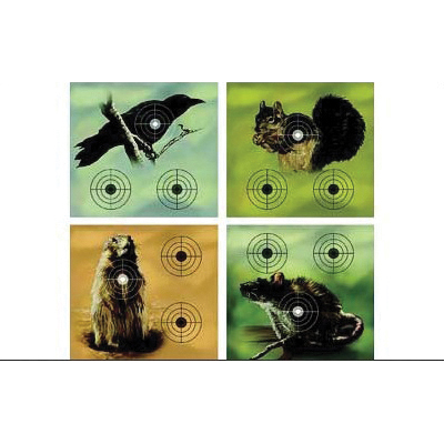 Crosman 9.75"x9" Varmint Target, 20 Pack - 496 - Crosman