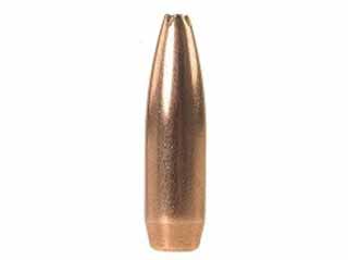 Sierra Pro-Hunter Bullets 30 Cal 165gr HP Boat Tail 100ct - Sierra