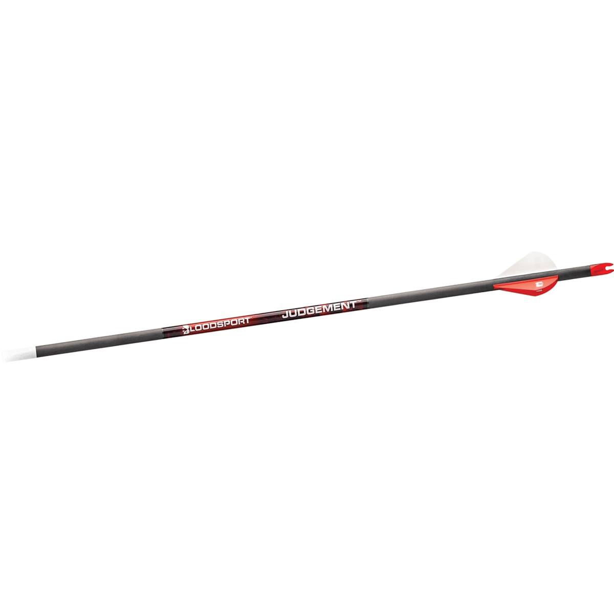 Bloodsport Arrows Judgement 31" 10.90 GPI 300 Spine Arrow Pack of 6 - Bloodsport Arrows