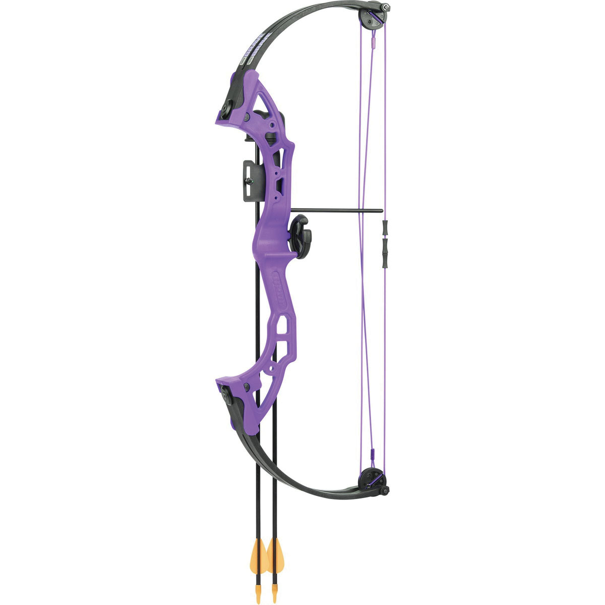 BearX Brave 26" Youth Compound Bow, Purple - Bear/Trophy Ridge/Cajun