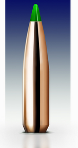 Nosler 6mm (.243) 95gr Spitzer Ballistic Tip Bullets 50ct - 24095