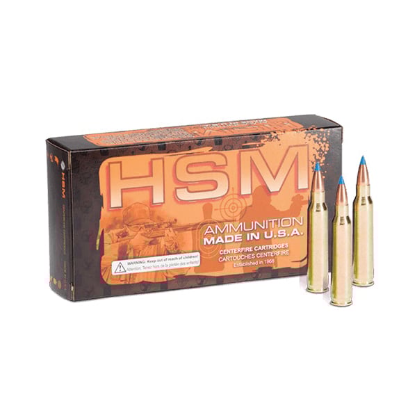 HSM Ammunition Varmint .300 AAC Blackout 110 gr PT 20rds - Hsm Ammunition